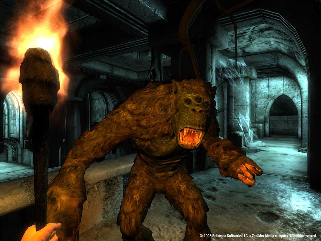 Скриншот-23 из игры The Elder Scrolls IV: Oblivion Game of the Year Edition