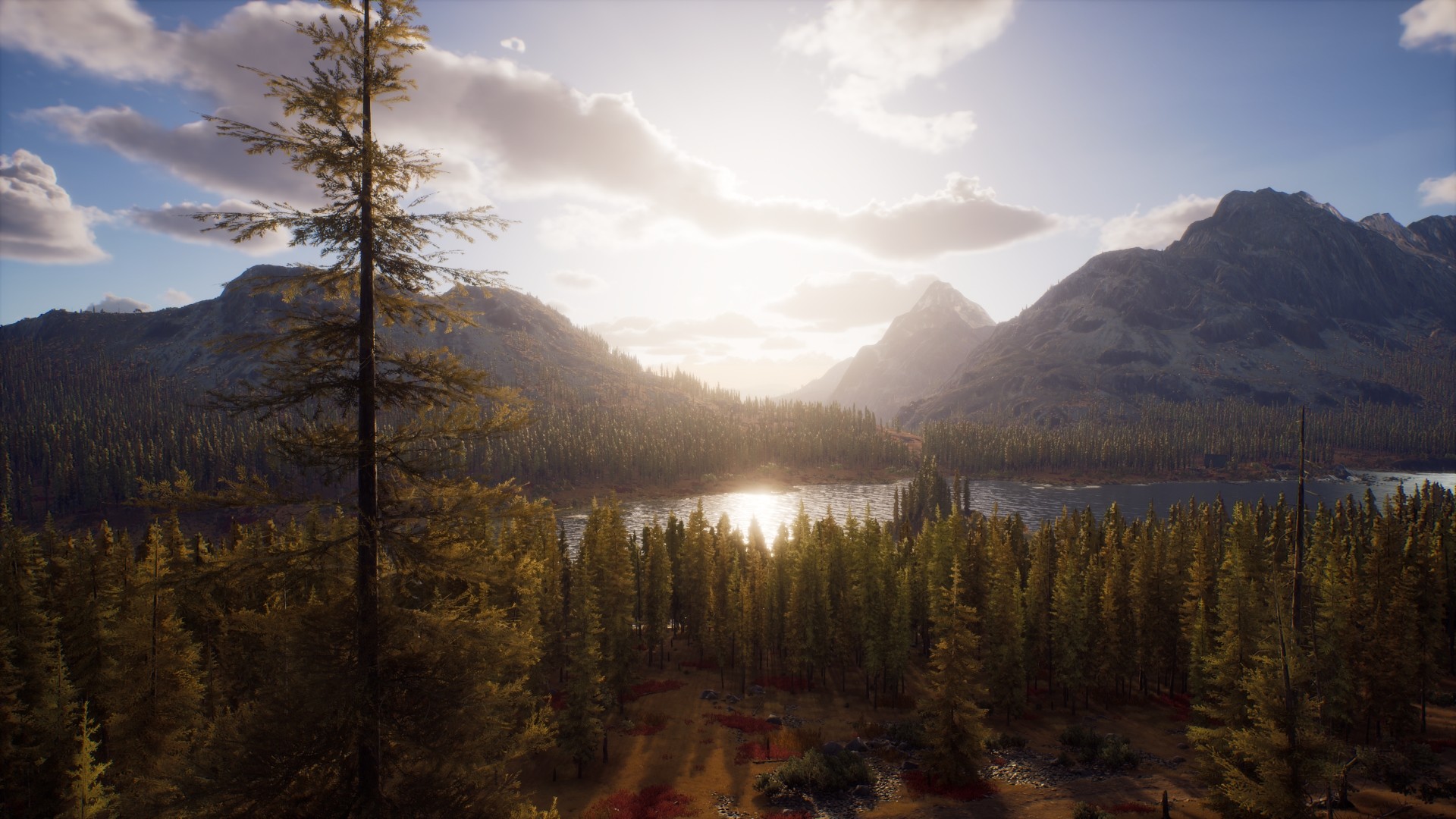 Скриншот-5 из игры Way of the Hunter для PS5