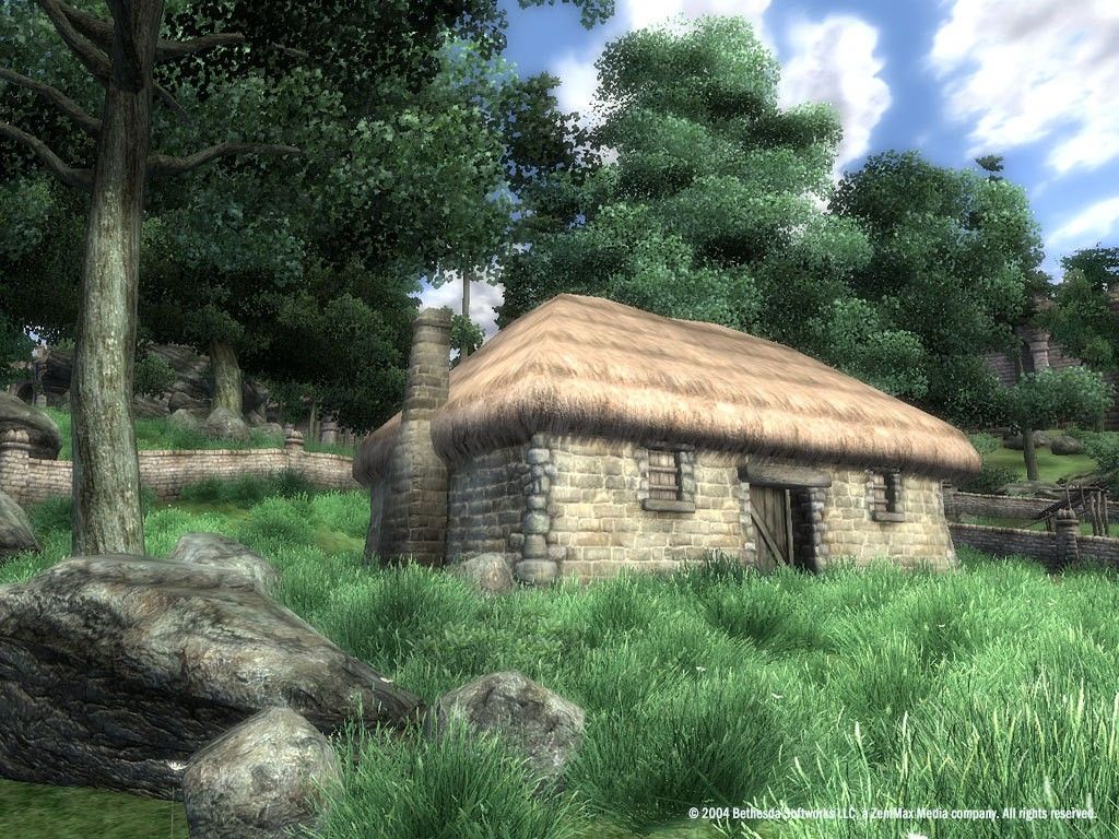 Скриншот-13 из игры The Elder Scrolls IV: Oblivion Game of the Year Edition