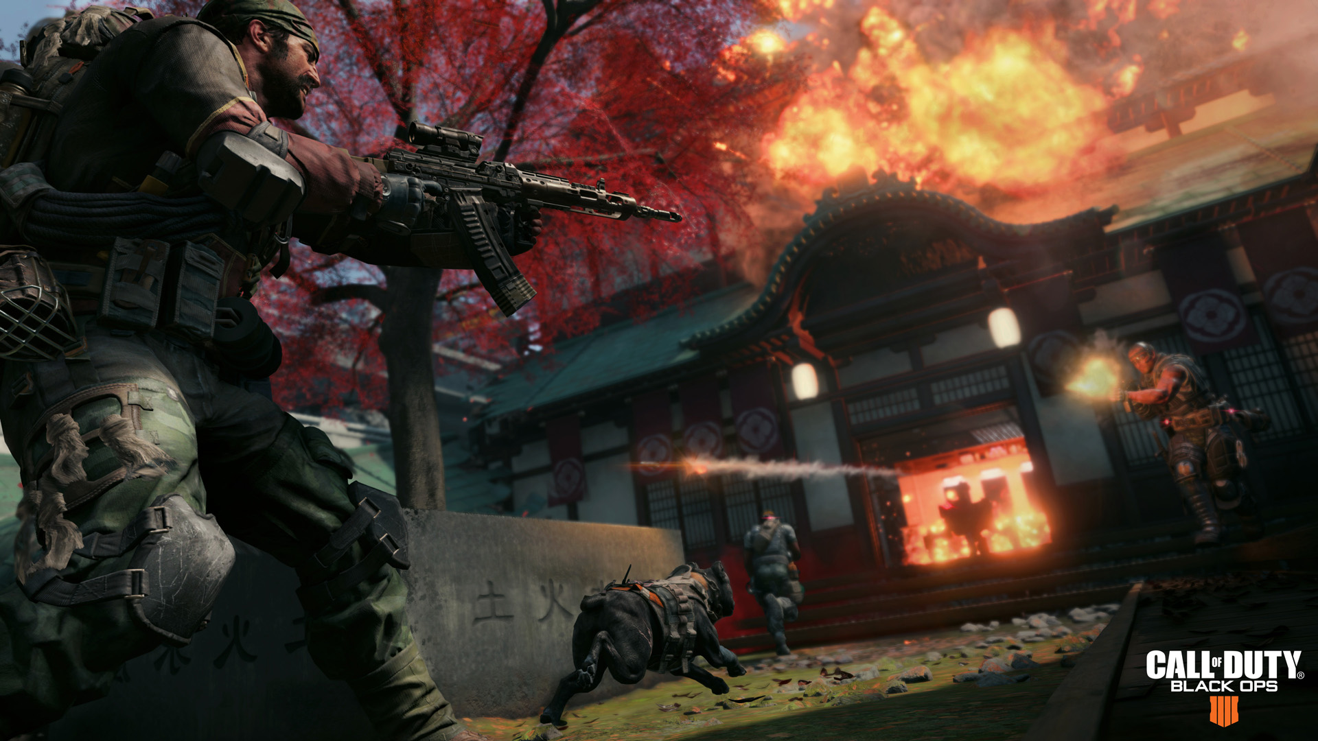 Скриншот-4 из игры Call of Duty: Black Ops 4 - Digital Deluxe для ХВОХ
