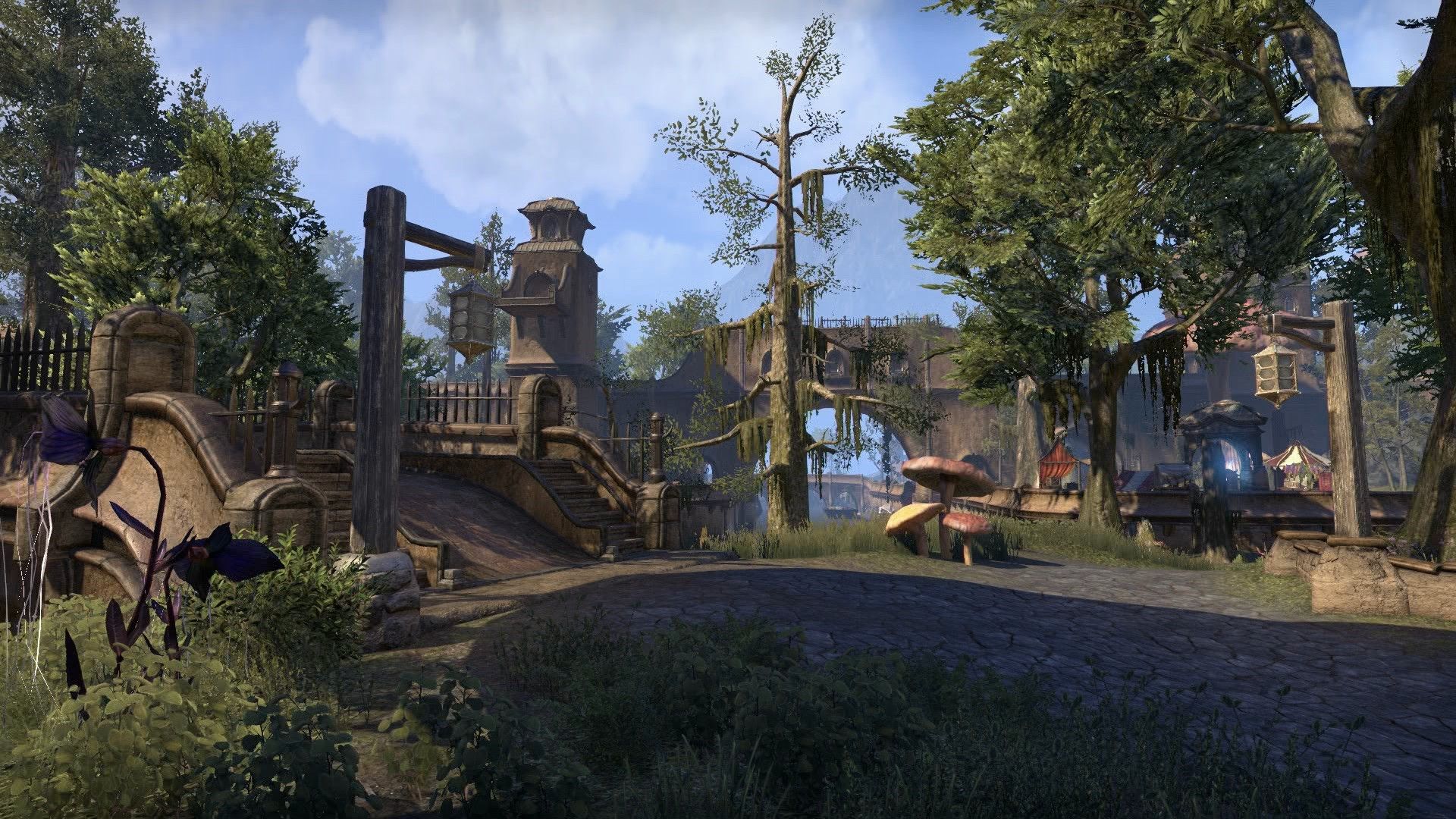 Скриншот-0 из игры The Elder Scrolls Online: Tamriel Unlimited + Morrowind