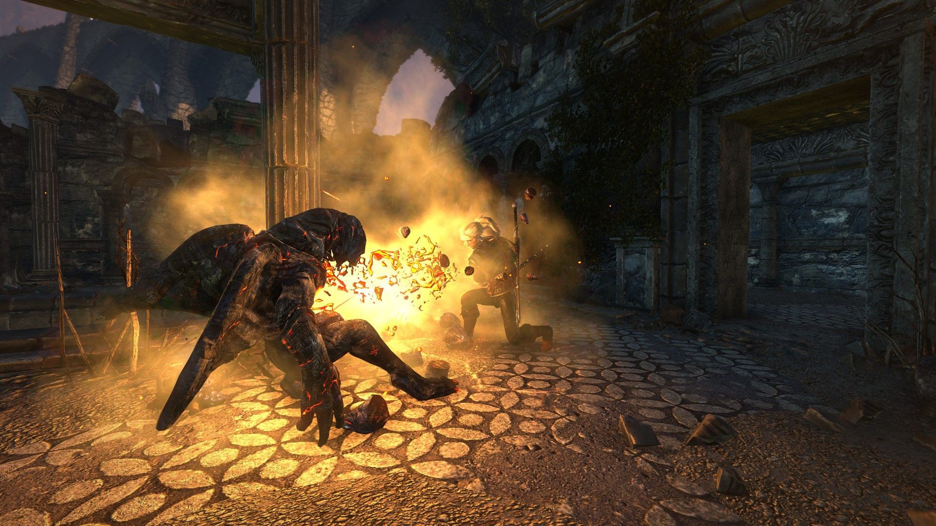 Скриншот-20 из игры The Witcher 2: Assassins of Kings Enhanced Edition