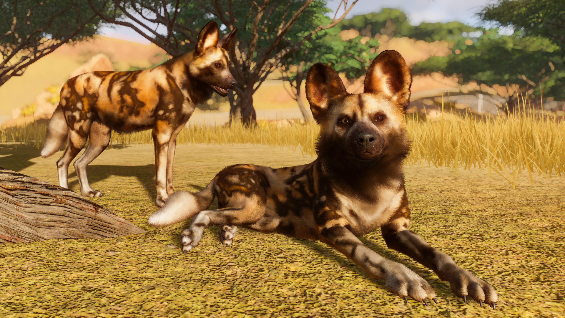 Скриншот-8 из игры Planet Zoo: Deluxe Edition для PS5
