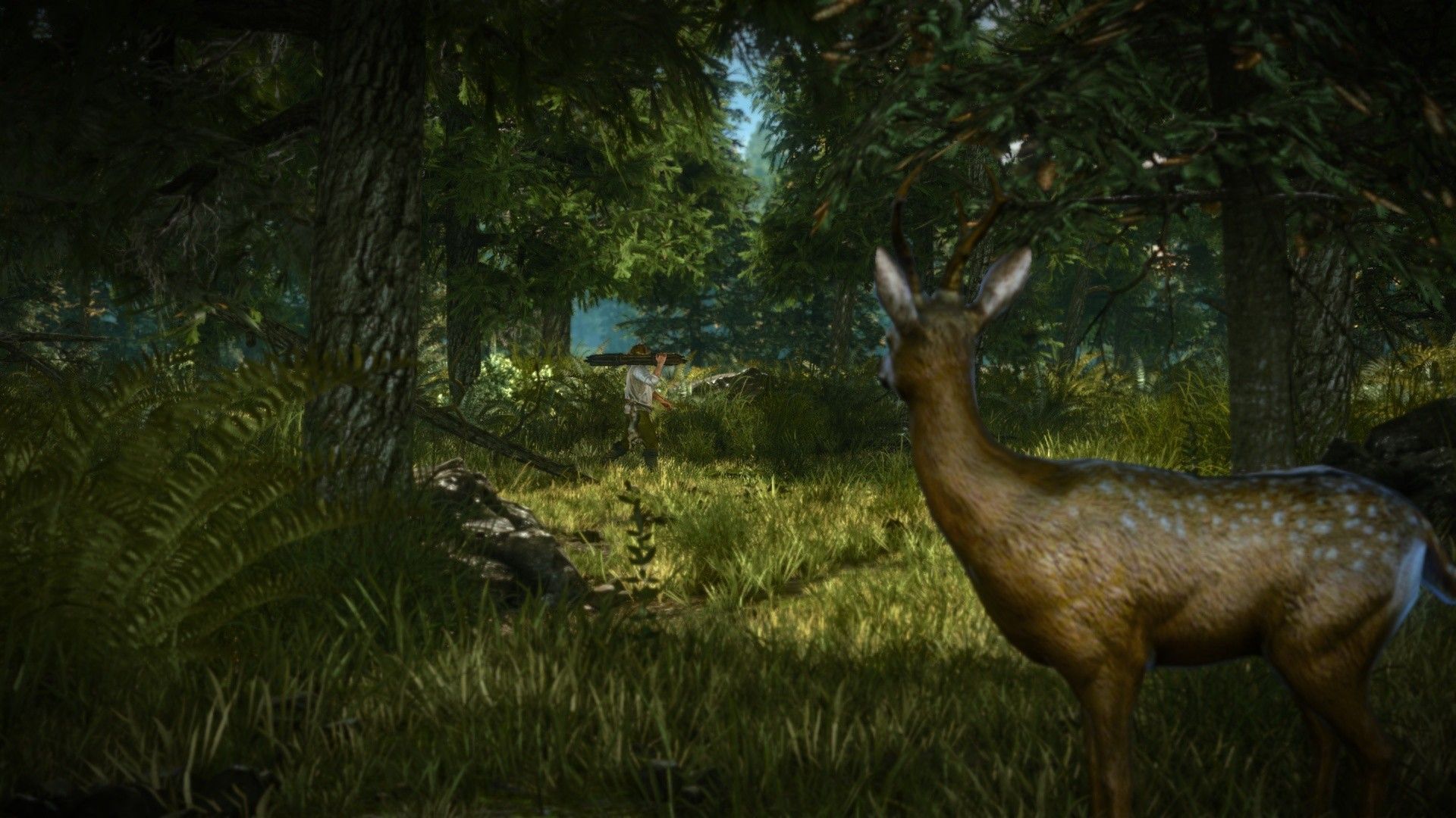 Скриншот-11 из игры The Witcher 2: Assassins of Kings Enhanced Edition