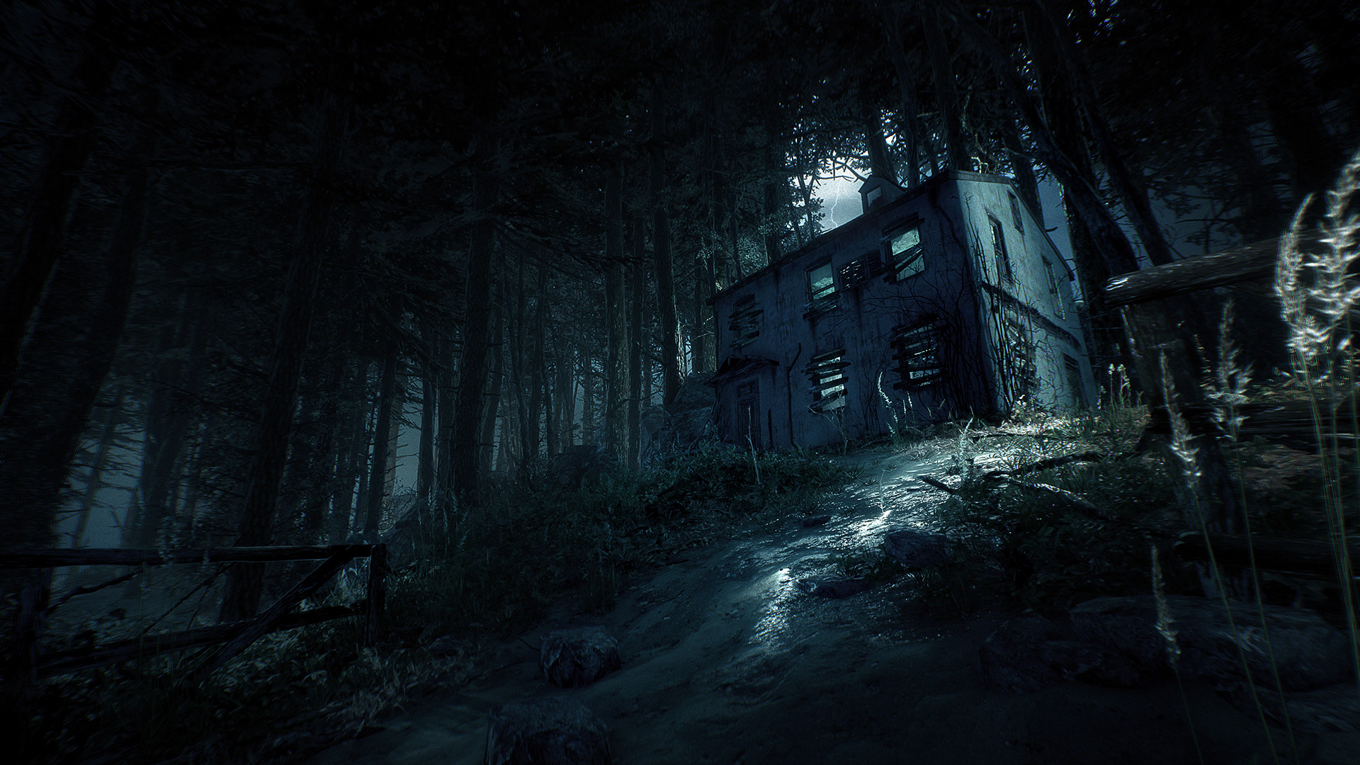 Скриншот-5 из игры Blair Witch