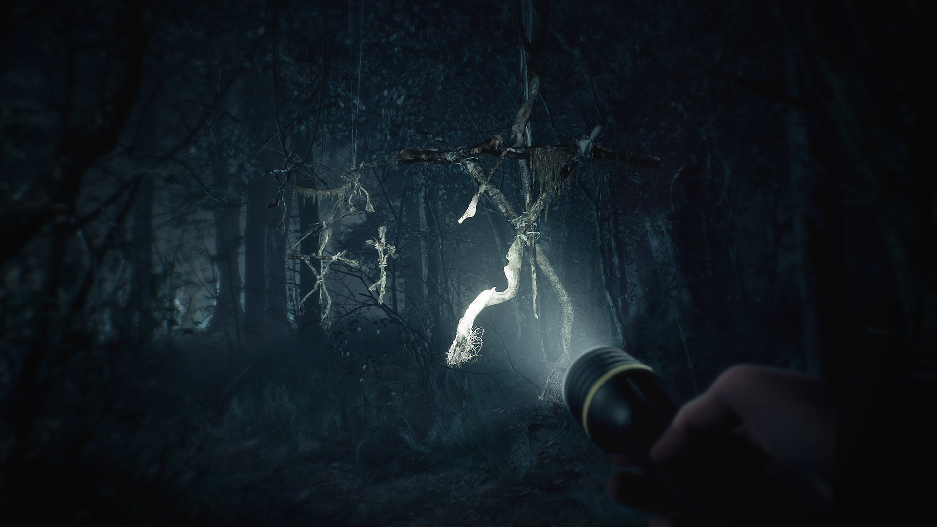 Скриншот-1 из игры Blair Witch