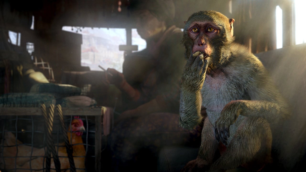 Скриншот-3 из игры Far Cry 4 для PS4