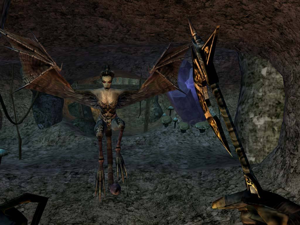 Скриншот-10 из игры The Elder Scrolls III: Morrowind Game of the Year Edition