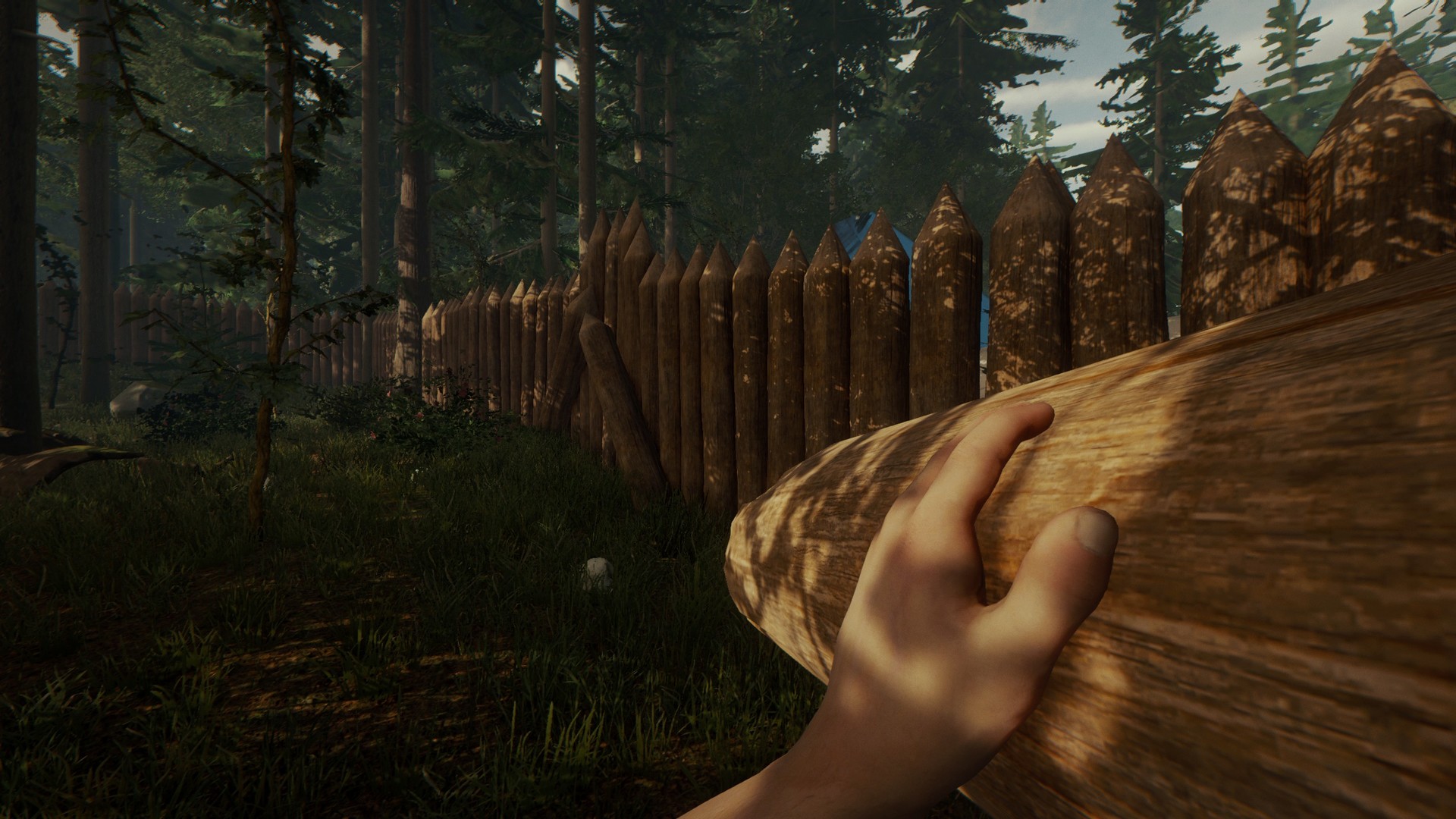Скриншот-1 из игры The Forest