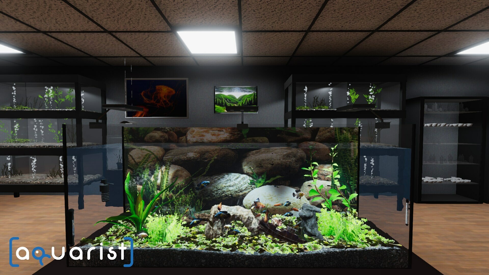 Скриншот-3 из игры Aquarist