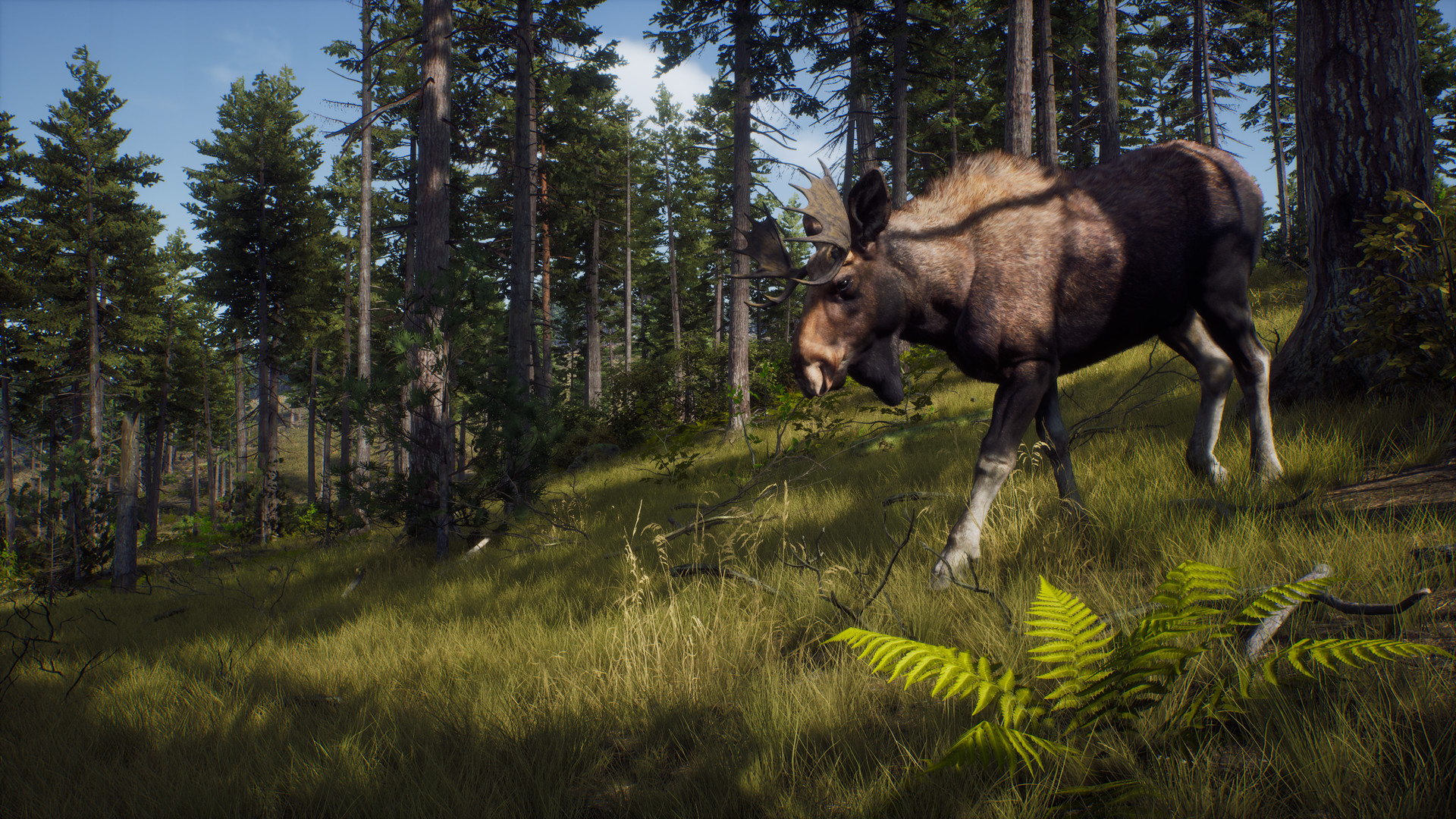 Скриншот-2 из игры Way of the Hunter для PS5