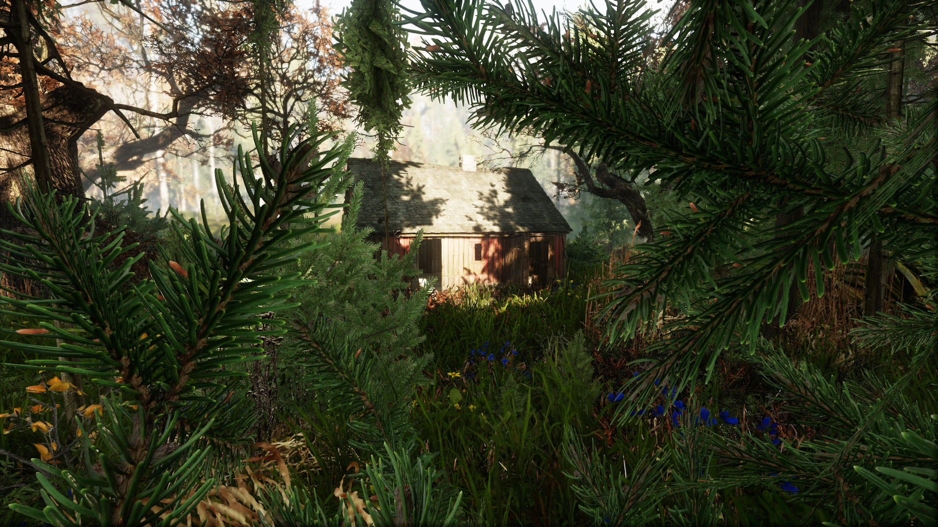 Скриншот-1 из игры The Land of Pain