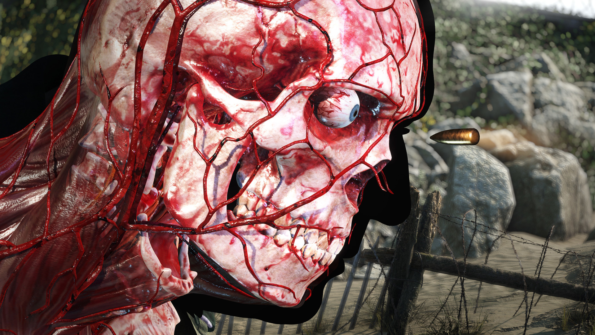 Скриншот-1 из игры Sniper Elite 5 для XBOX