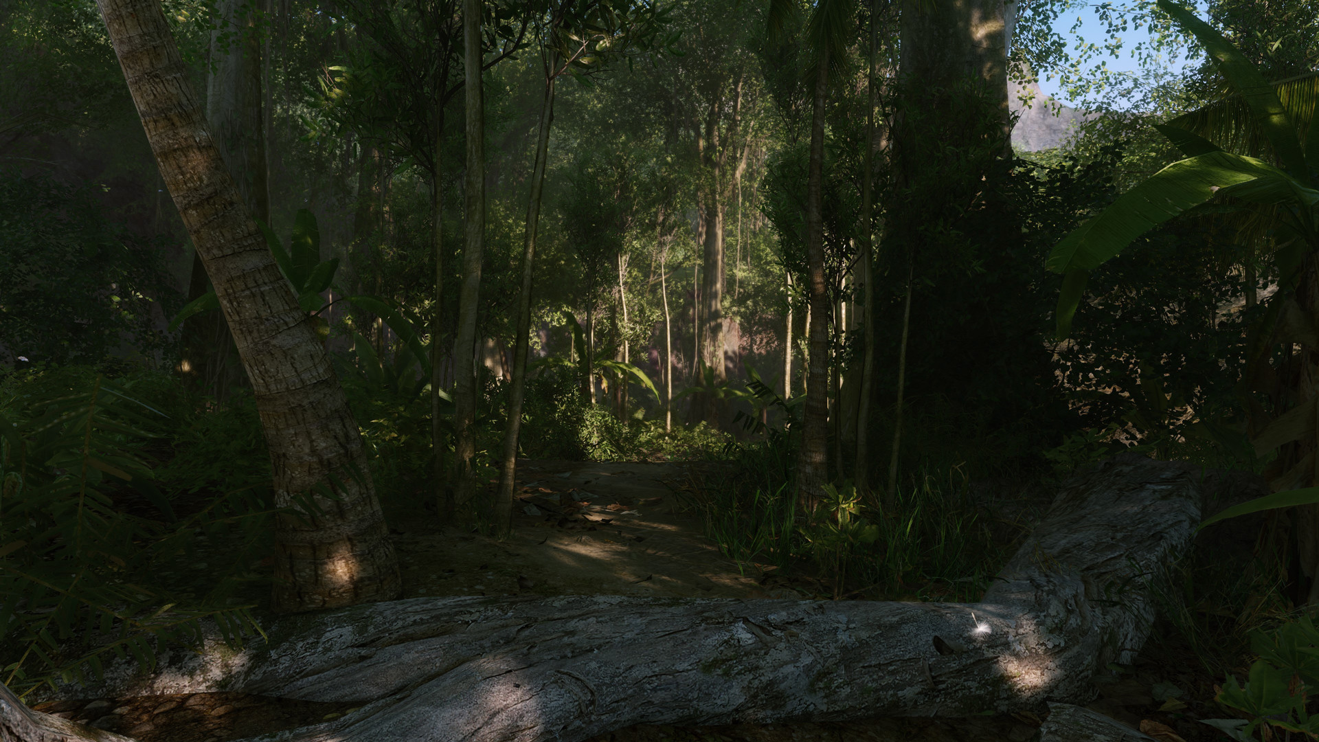 Скриншот-2 из игры Crysis Remastered Trilogy для XBOX