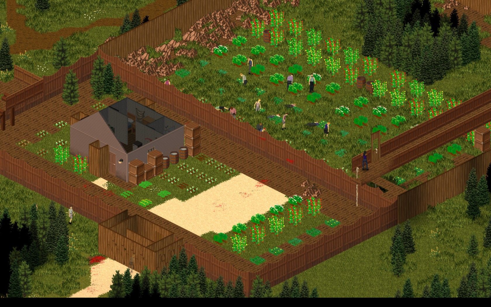 Скриншот-5 из игры Project Zomboid