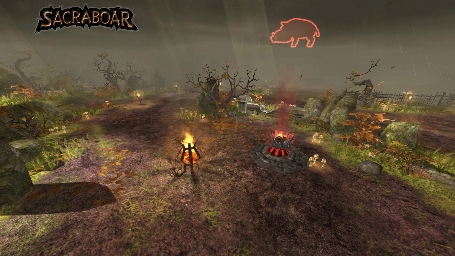 Скриншот-14 из игры Sacraboar
