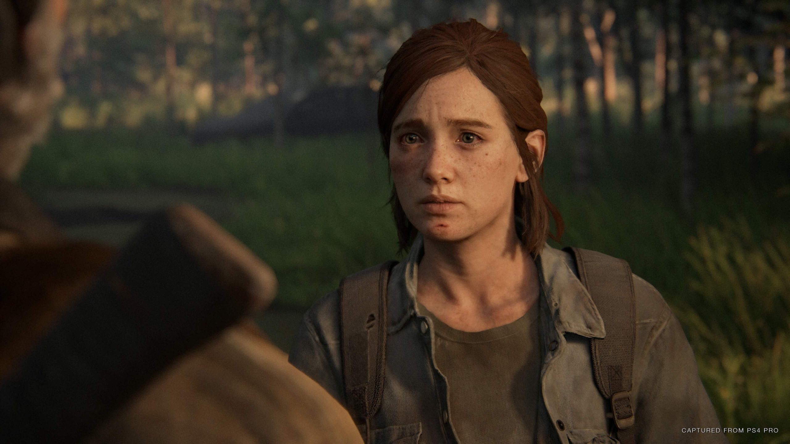 Скриншот-1 из игры The Last of Us Part II Digital Deluxe Edition для PS4