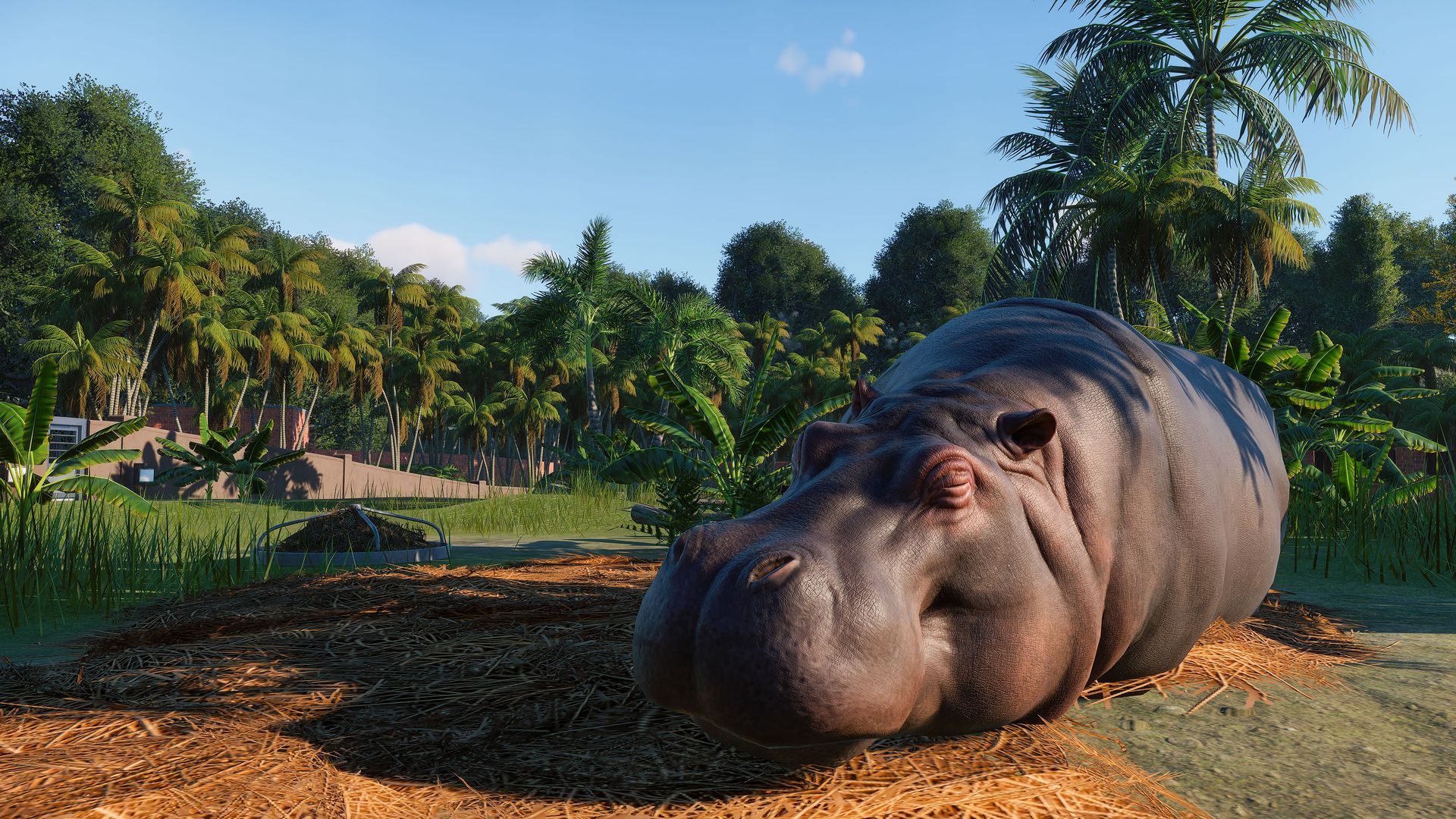 Скриншот-11 из игры Planet Zoo Deluxe Edition
