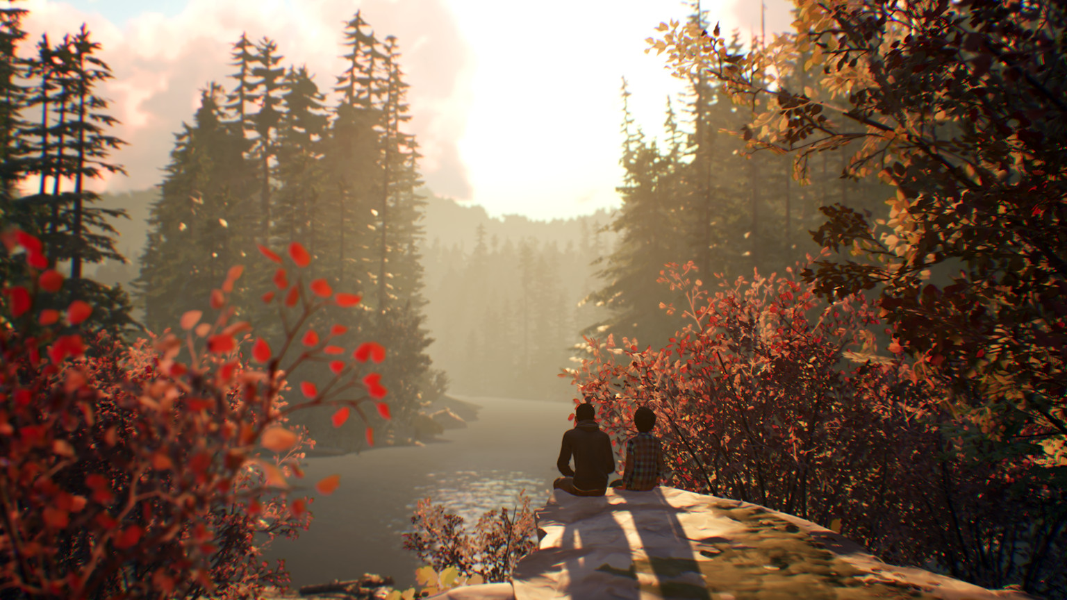 Скриншот-14 из игры Life Is Strange 2 Complete Season