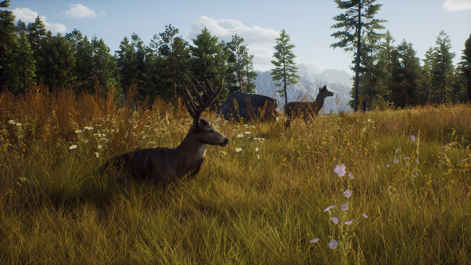 Скриншот-10 из игры Way of the Hunter: Elite Edition для PS5