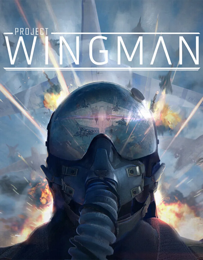 Картинка Project Wingman для XBOX