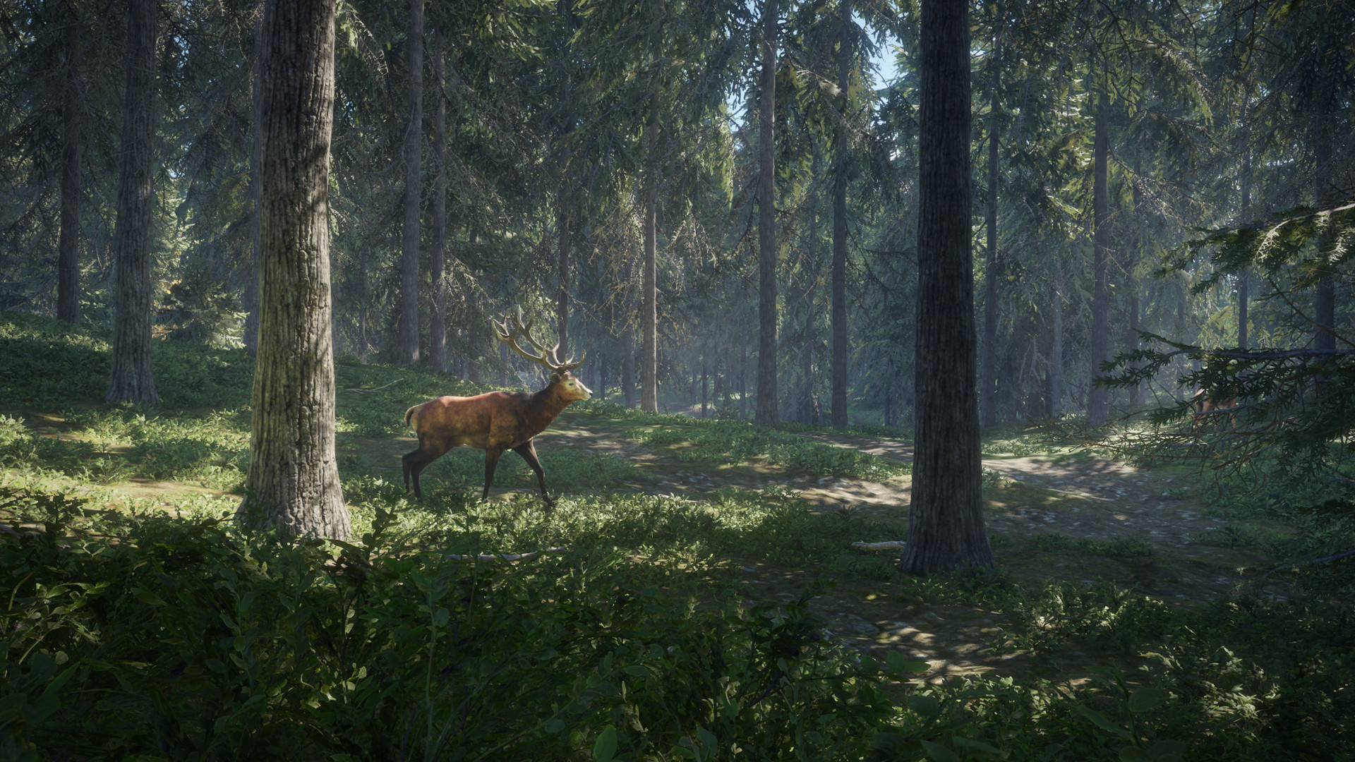 Скриншот-3 из игры theHunter: Call of the Wild — Greenhorn Bundle для XBOX