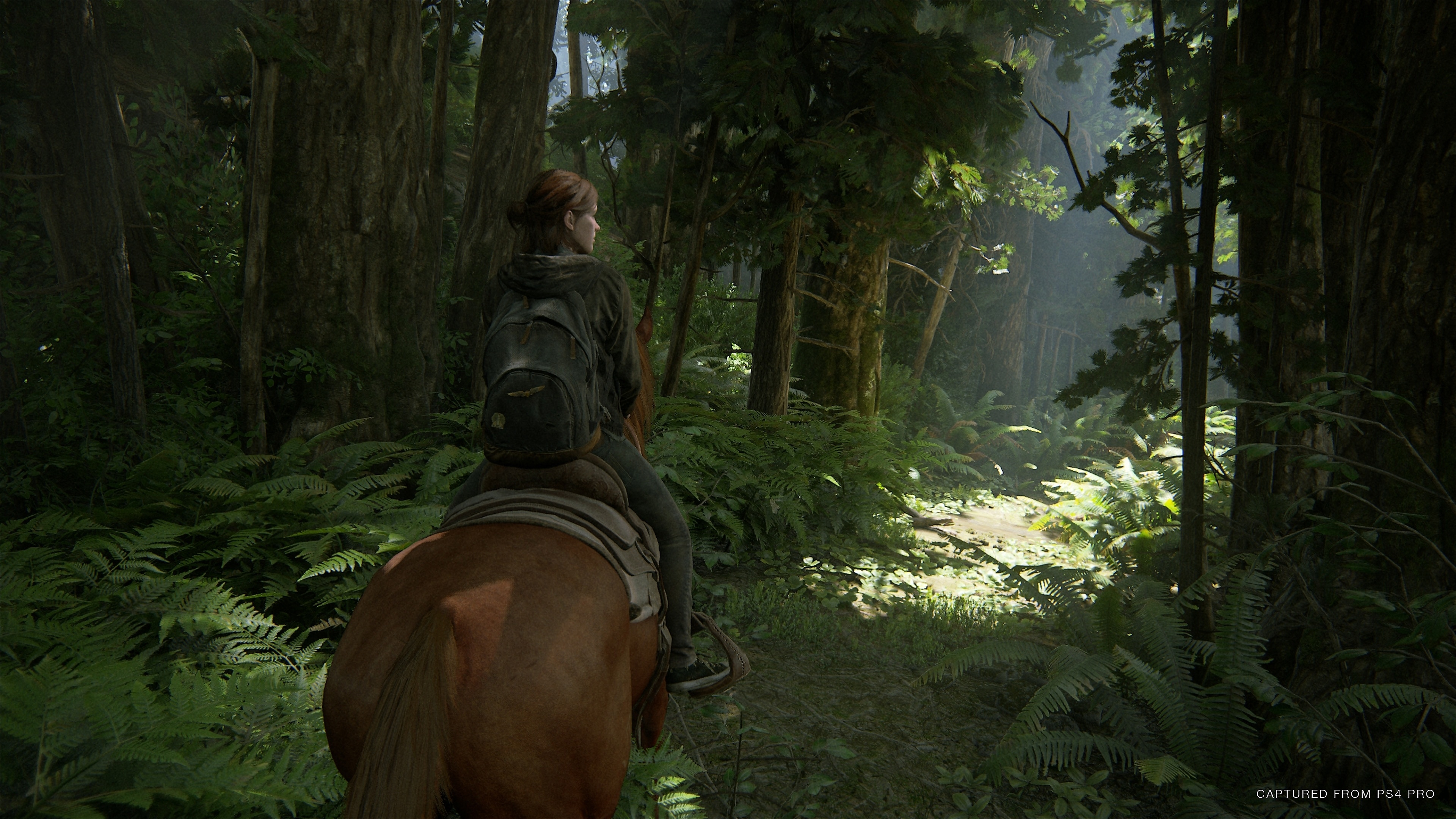Скриншот-4 из игры The Last of Us Part II Digital Deluxe Edition для PS4