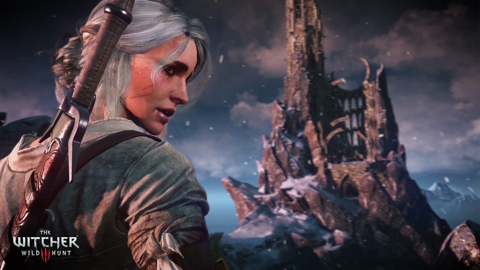 Скриншот-14 из игры The Witcher 3: Wild Hunt — Game of The Year Edition