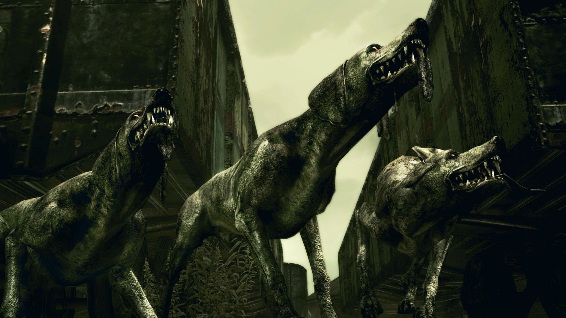 Скриншот-18 из игры Resident Evil 5 для XBOX