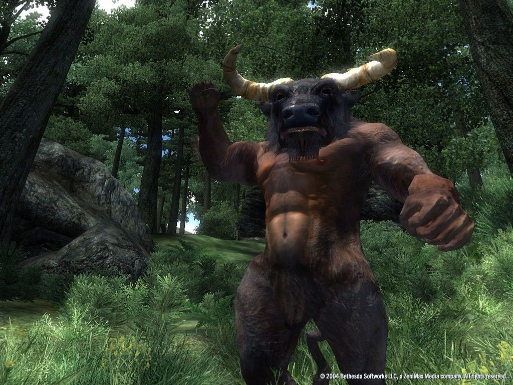 Скриншот-18 из игры The Elder Scrolls IV: Oblivion Game of the Year Edition