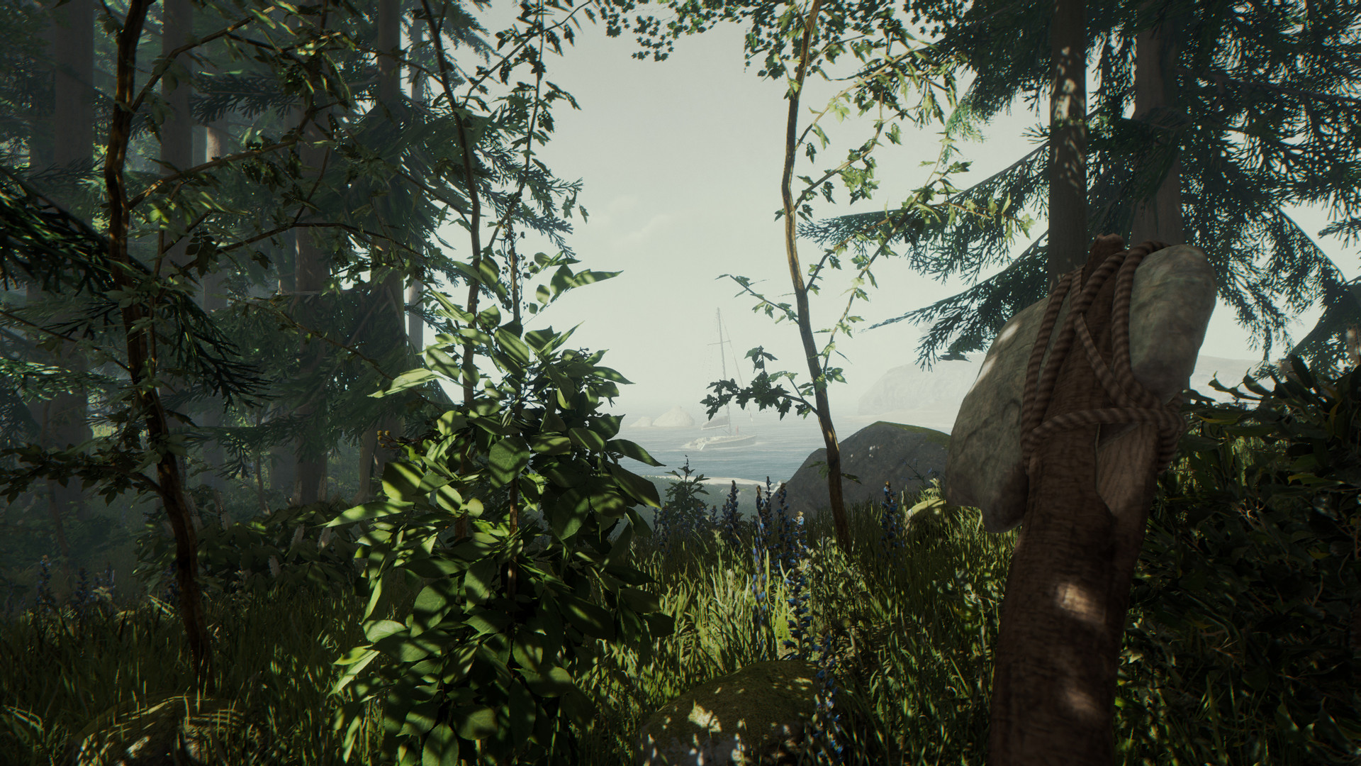 Скриншот-12 из игры The Forest