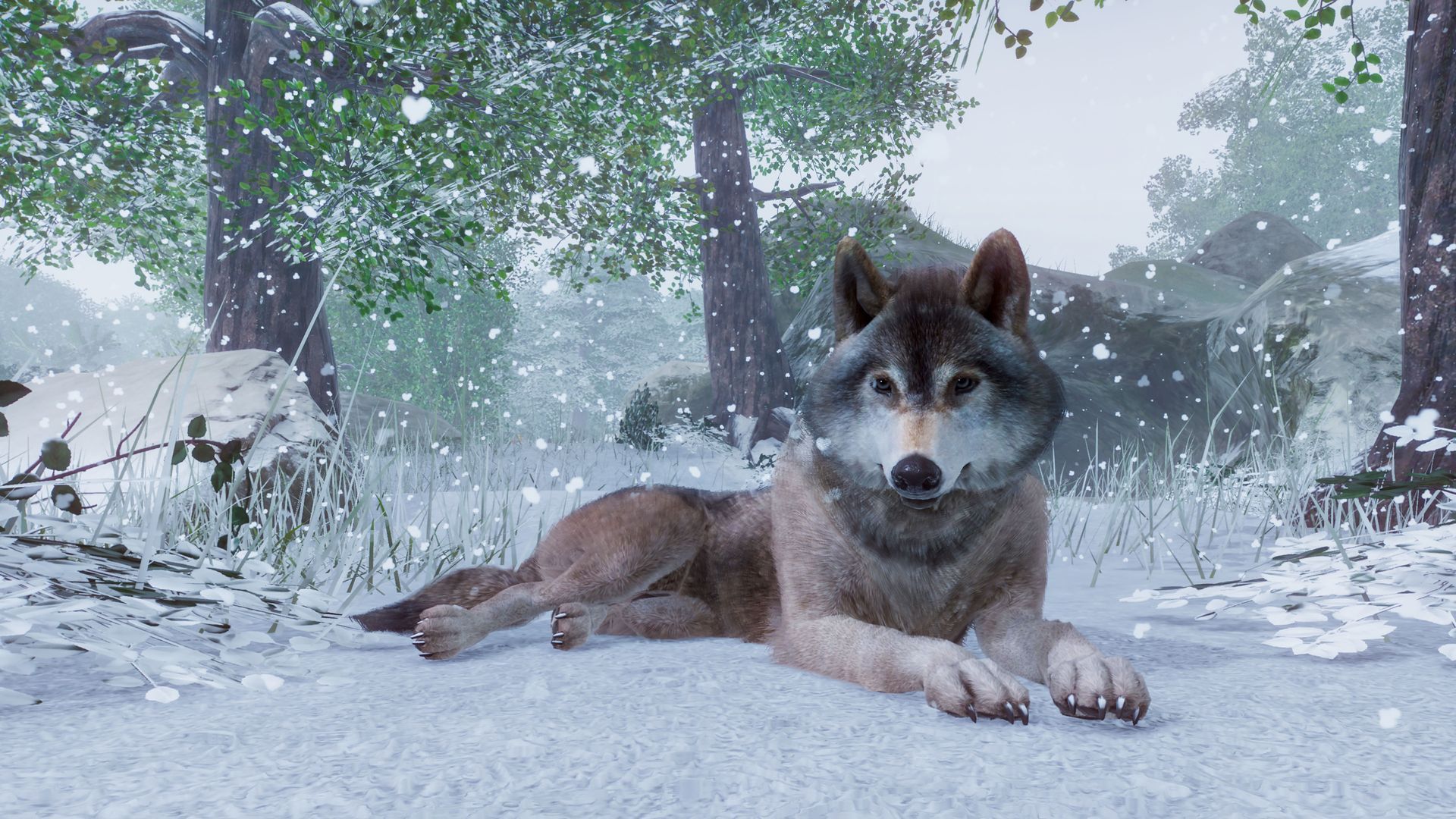 Скриншот-16 из игры Planet Zoo для PS5