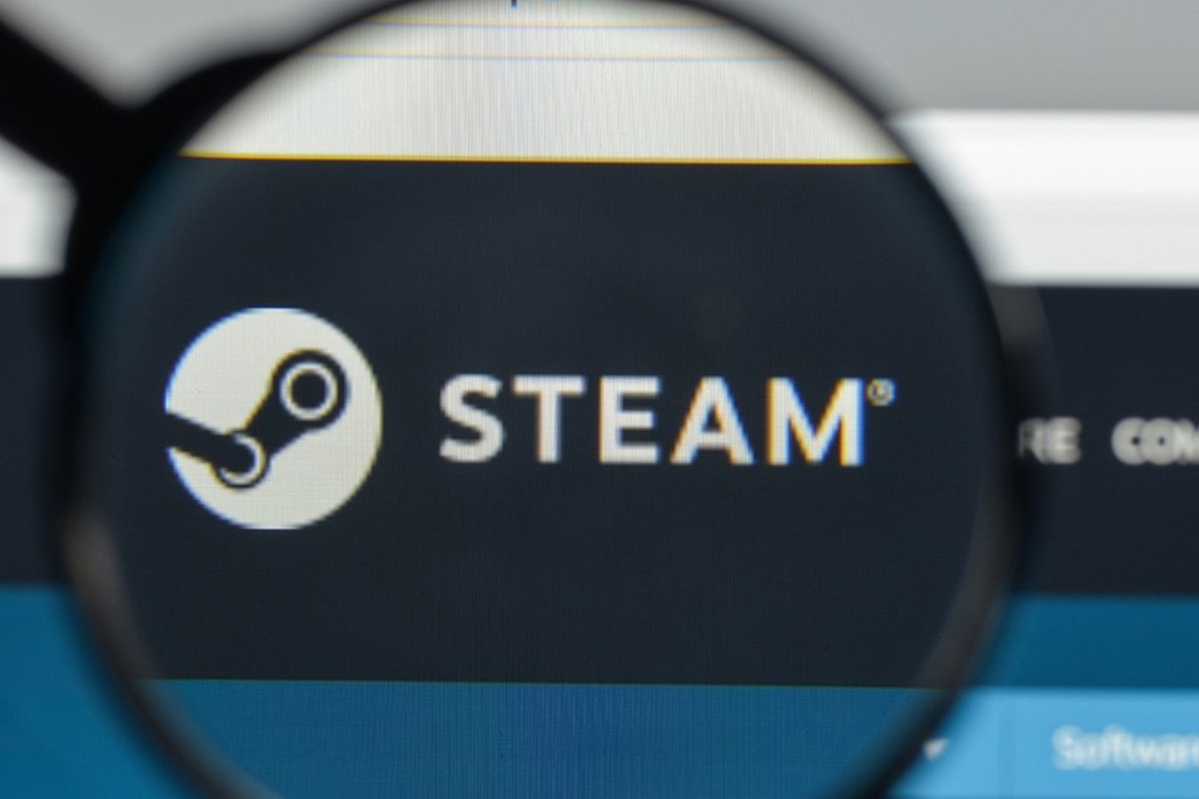 Steam киви