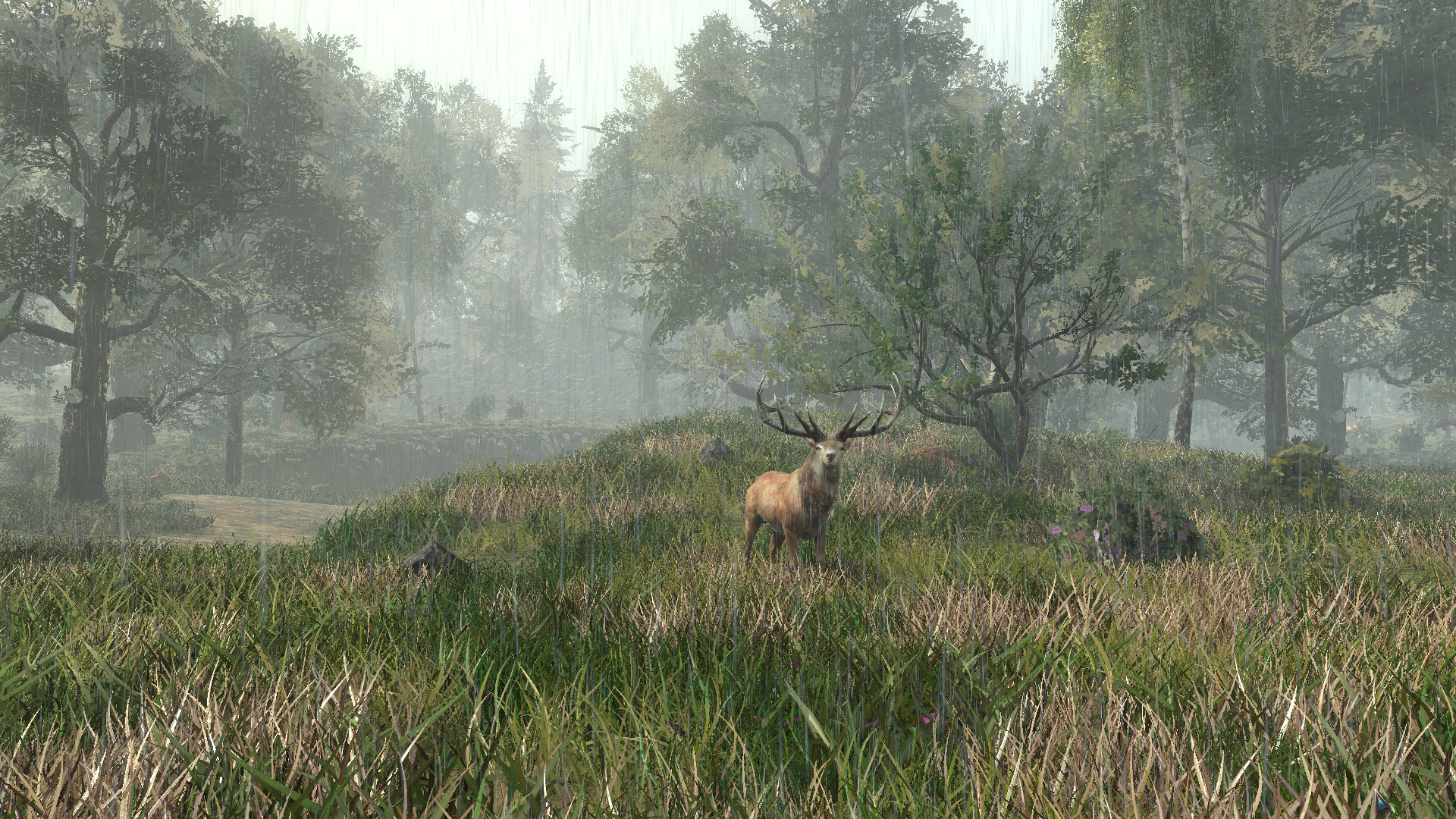 Скриншот-8 из игры Life is Feudal: Forest Village