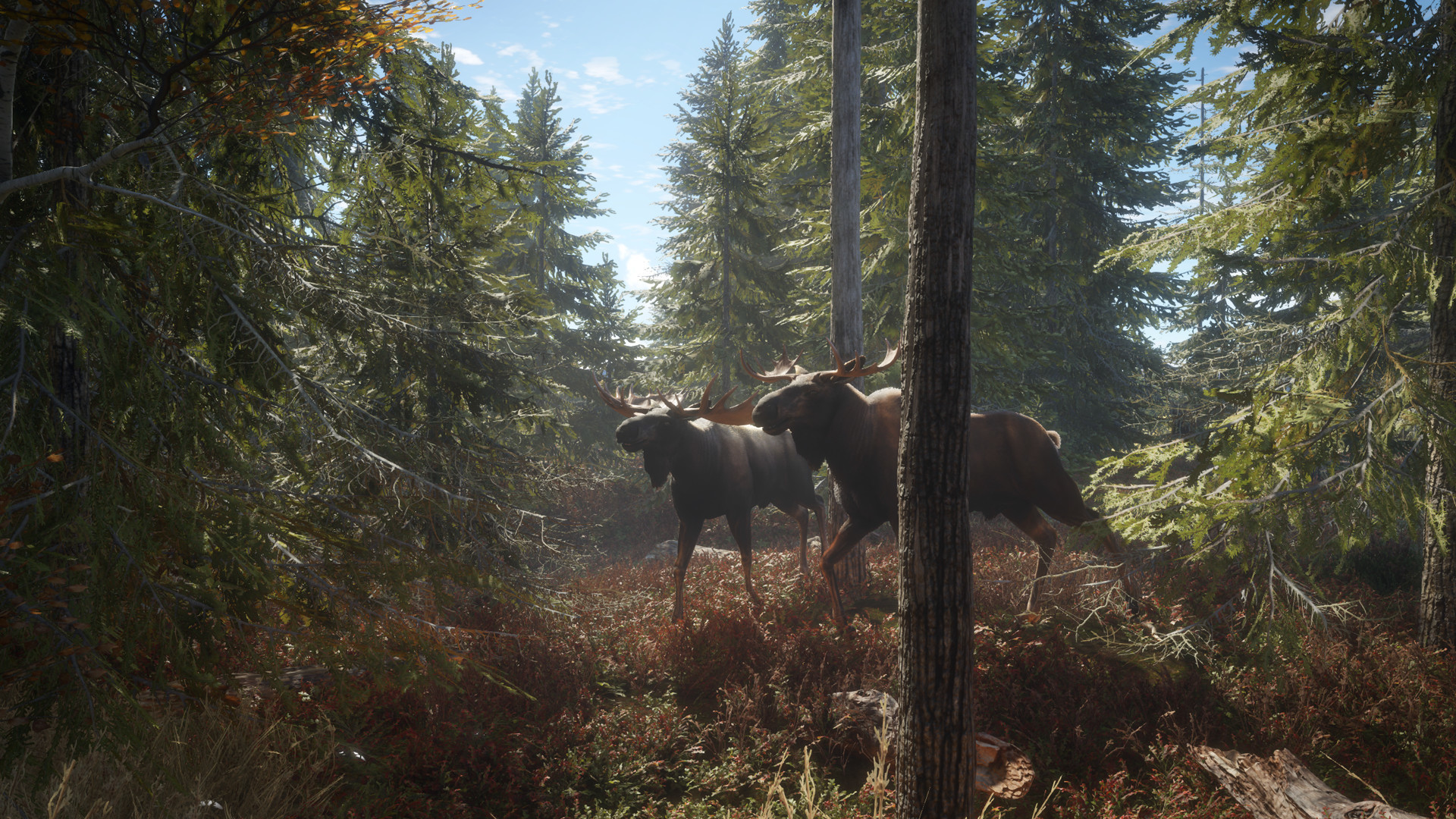 Скриншот-23 из игры theHunter: Call of the Wild — Greenhorn Bundle для XBOX
