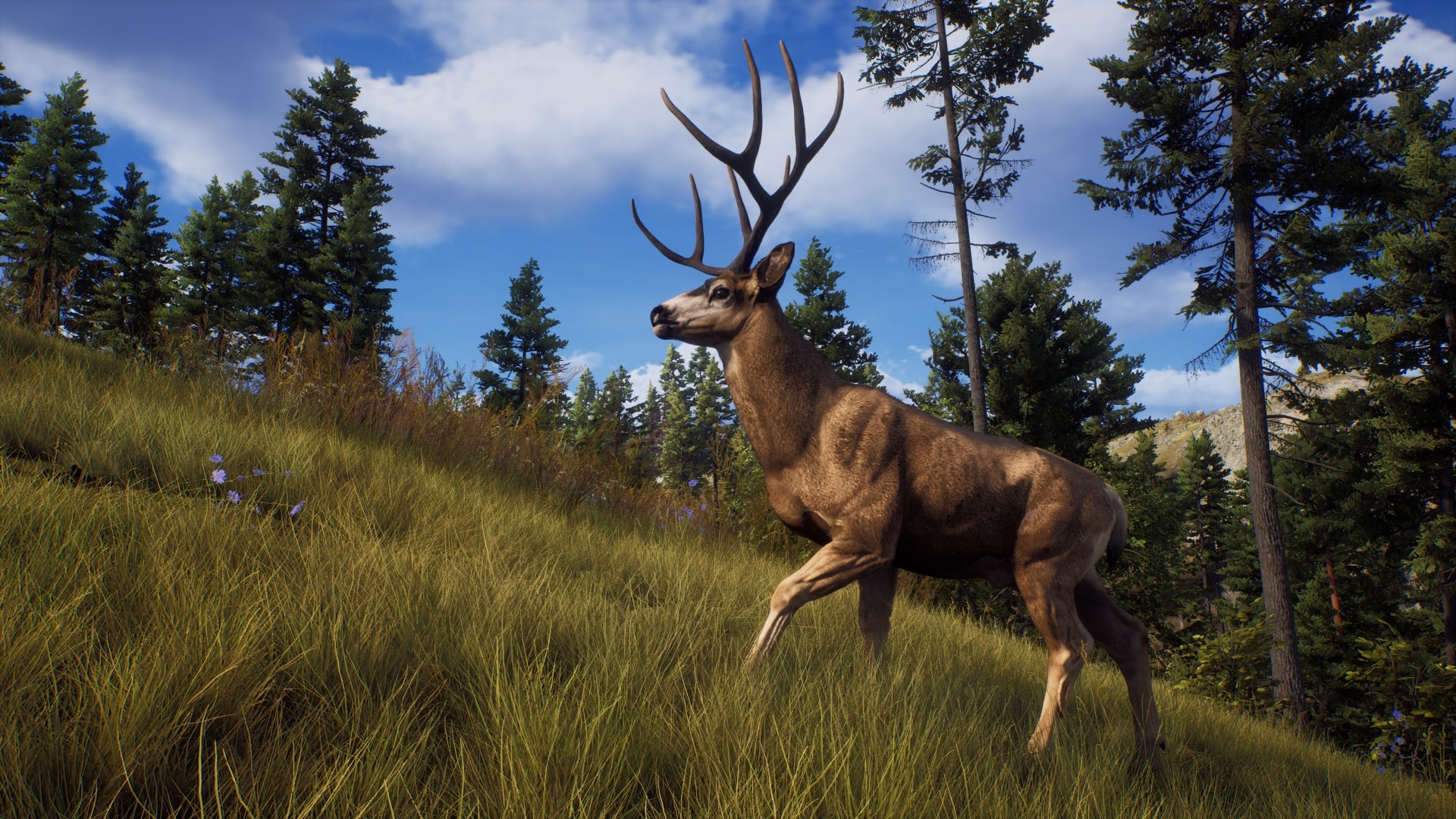 Скриншот-6 из игры Way of the Hunter для PS5