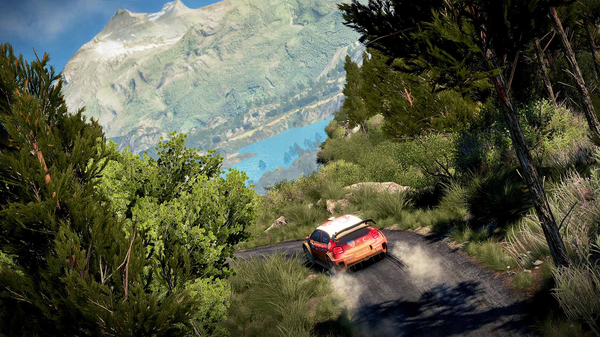Скриншот-3 из игры WRC 7 FIA World Rally Championship