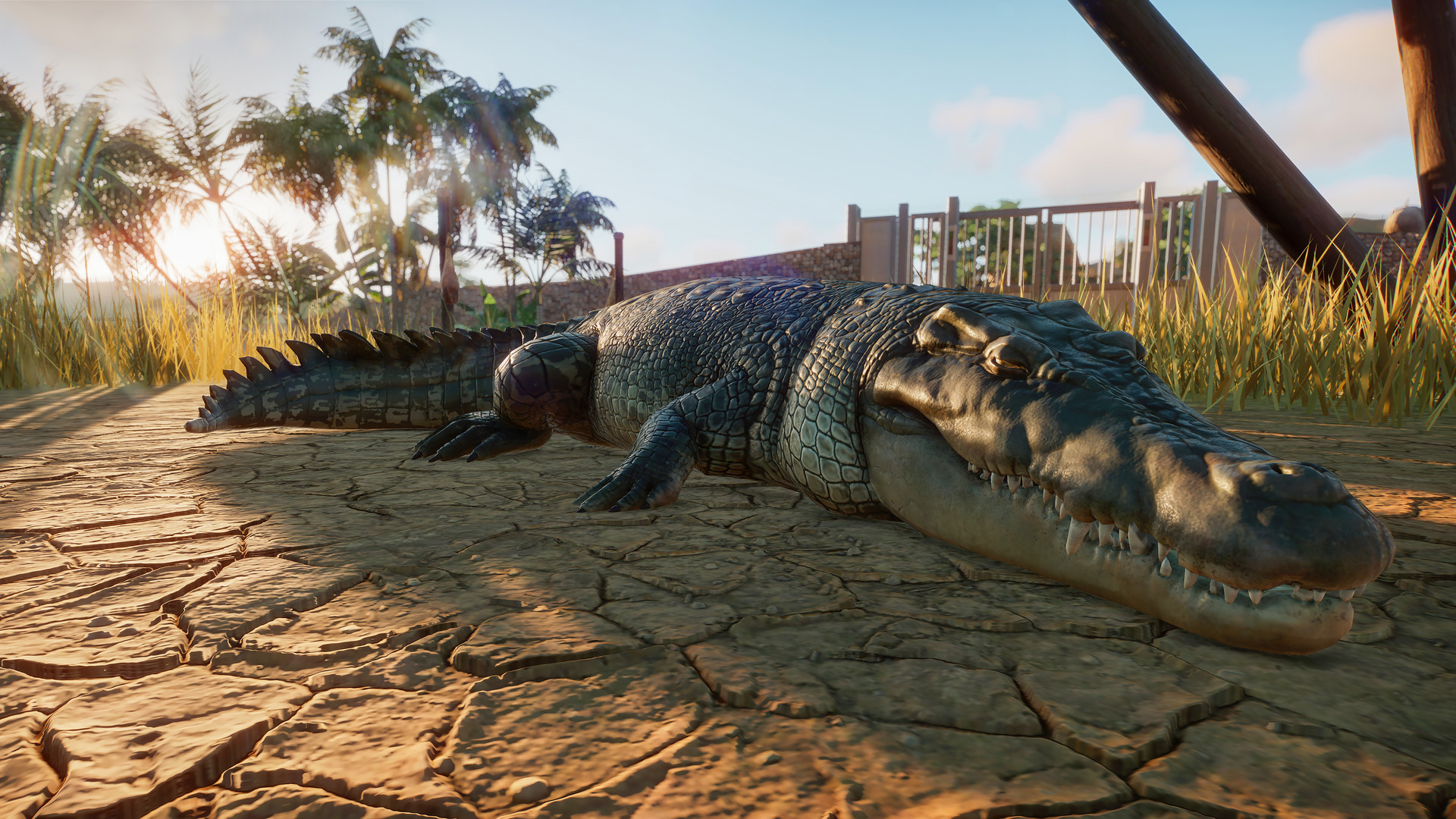 Скриншот-6 из игры Planet Zoo: Deluxe Edition для PS5