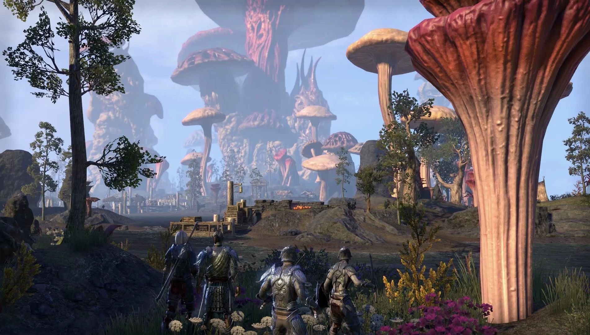 Скриншот-3 из игры The Elder Scrolls Online: Morrowind