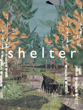 Картинка Shelter