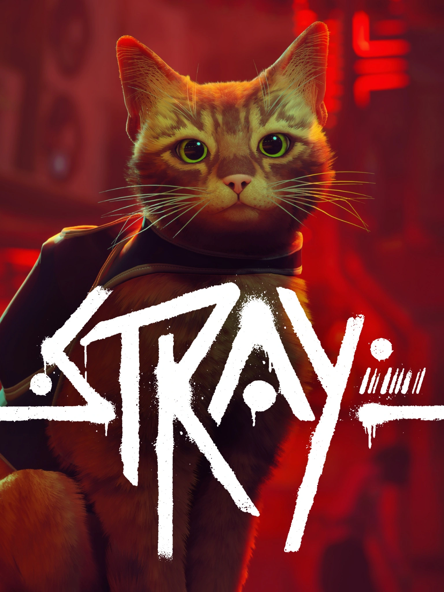 Stray для XBOX