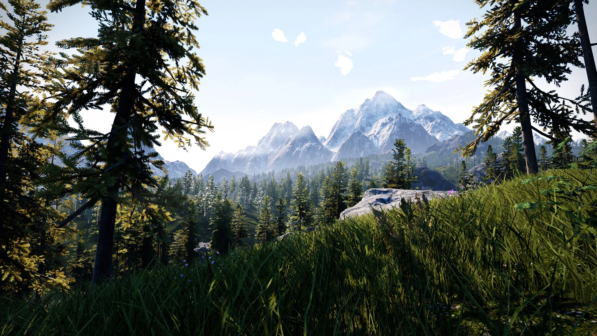 Hunting Simulator Hunting Simulator