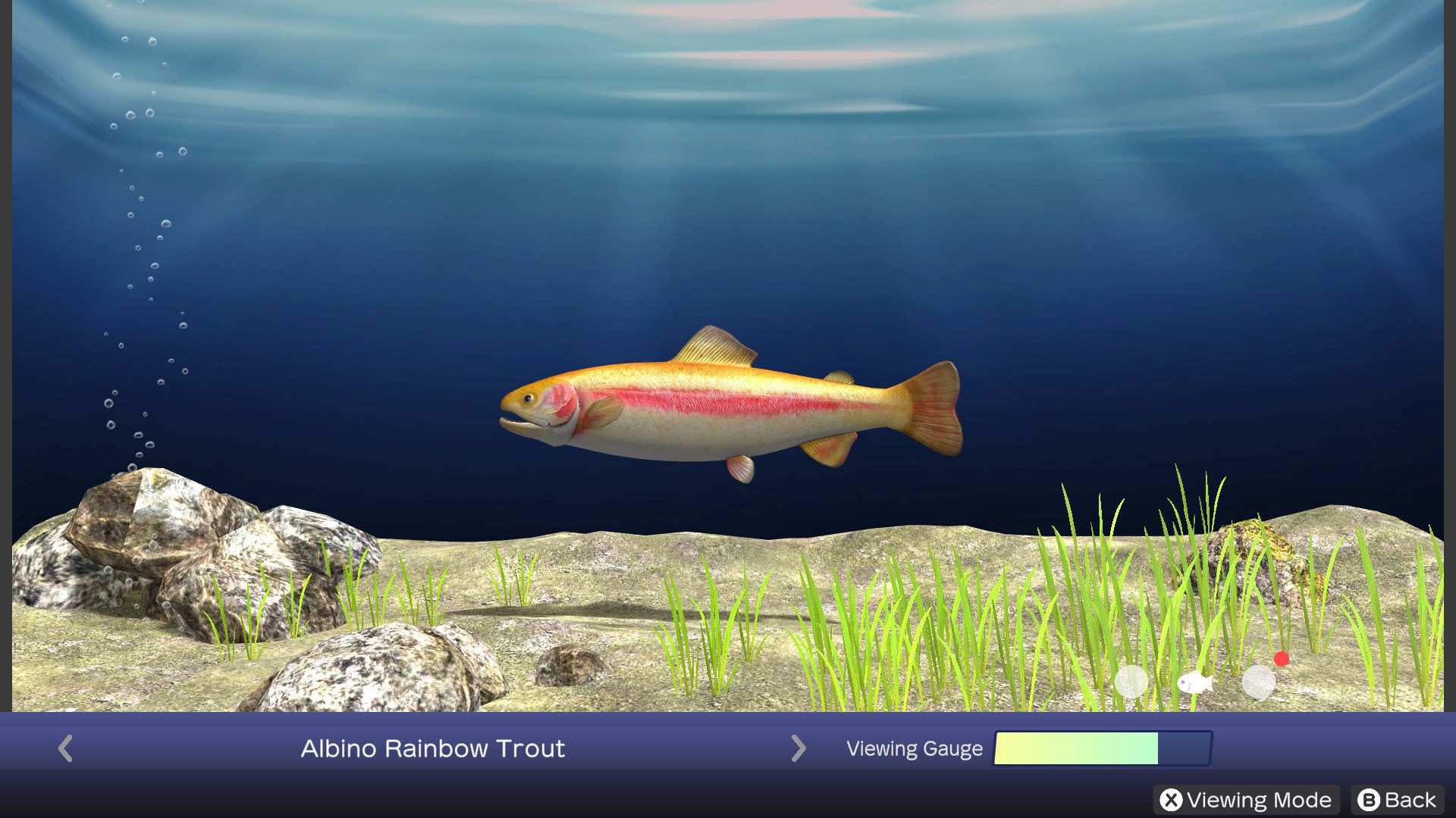 Скриншот-0 из игры Reel Fishing: Days of Summer для XBOX