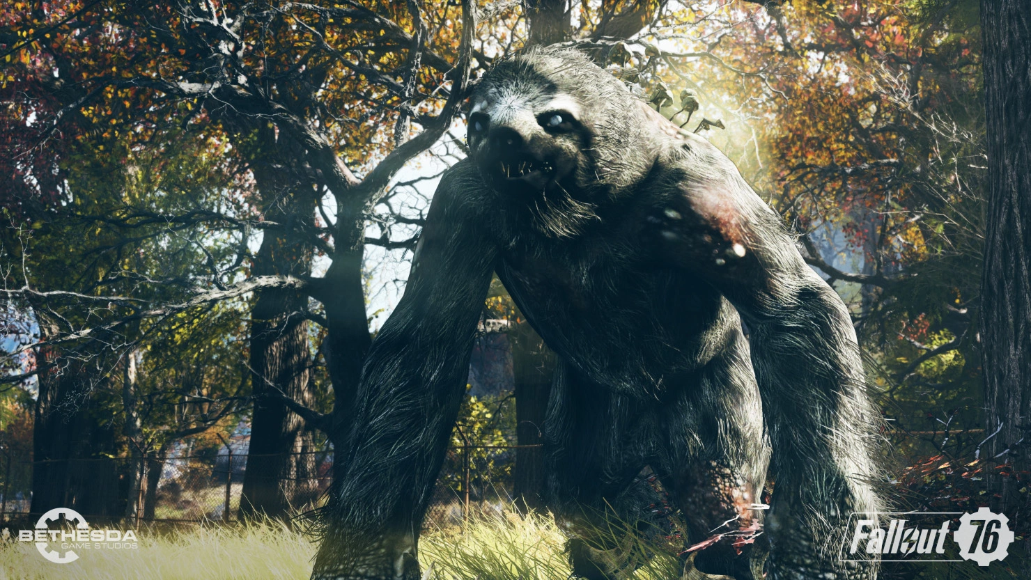 Скриншот-16 из игры Fallout 76