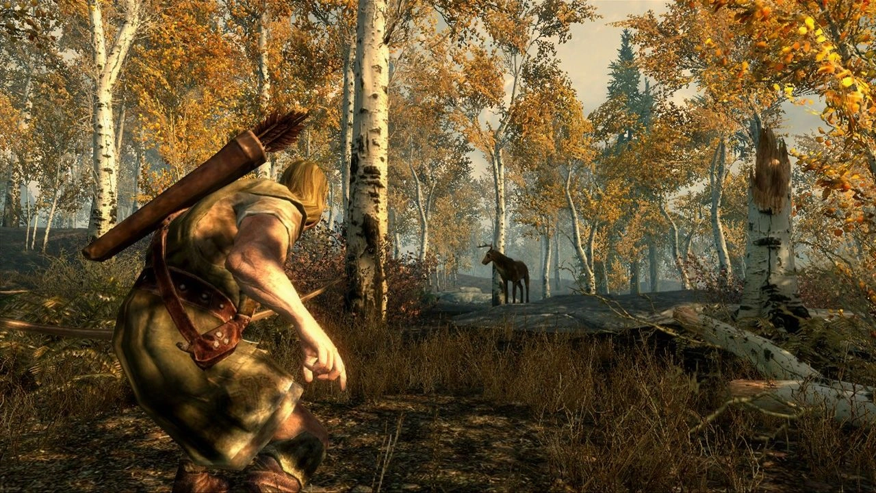Скриншот-4 из игры The Elder Scrolls V: Skyrim