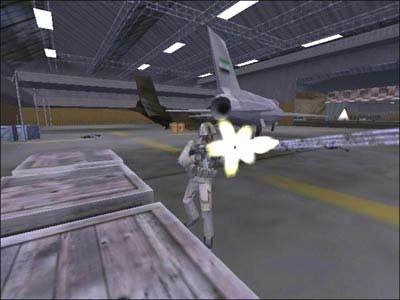 Скриншот-2 из игры Delta Force: Task Force Dagger