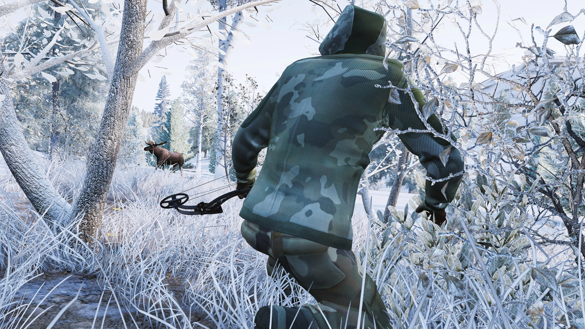 Скриншот-5 из игры Hunting Simulator