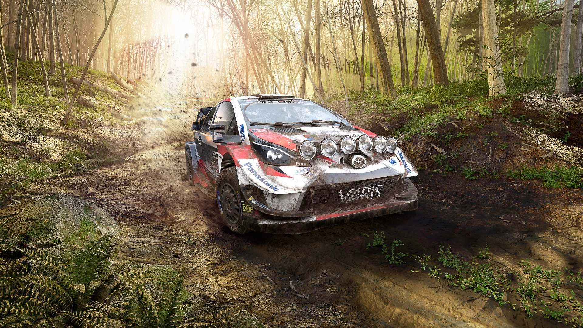 WRC 9 для PS