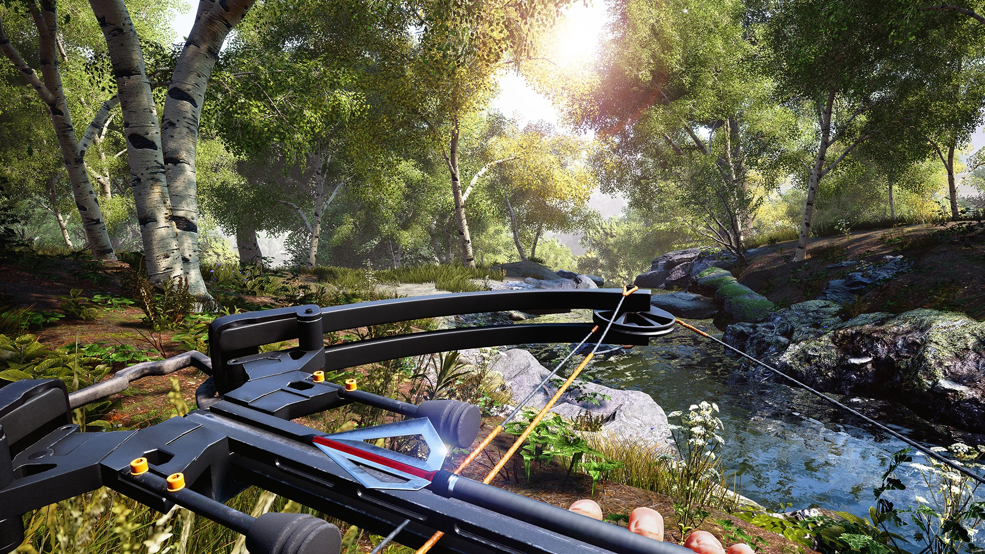 Скриншот-4 из игры Hunting Simulator