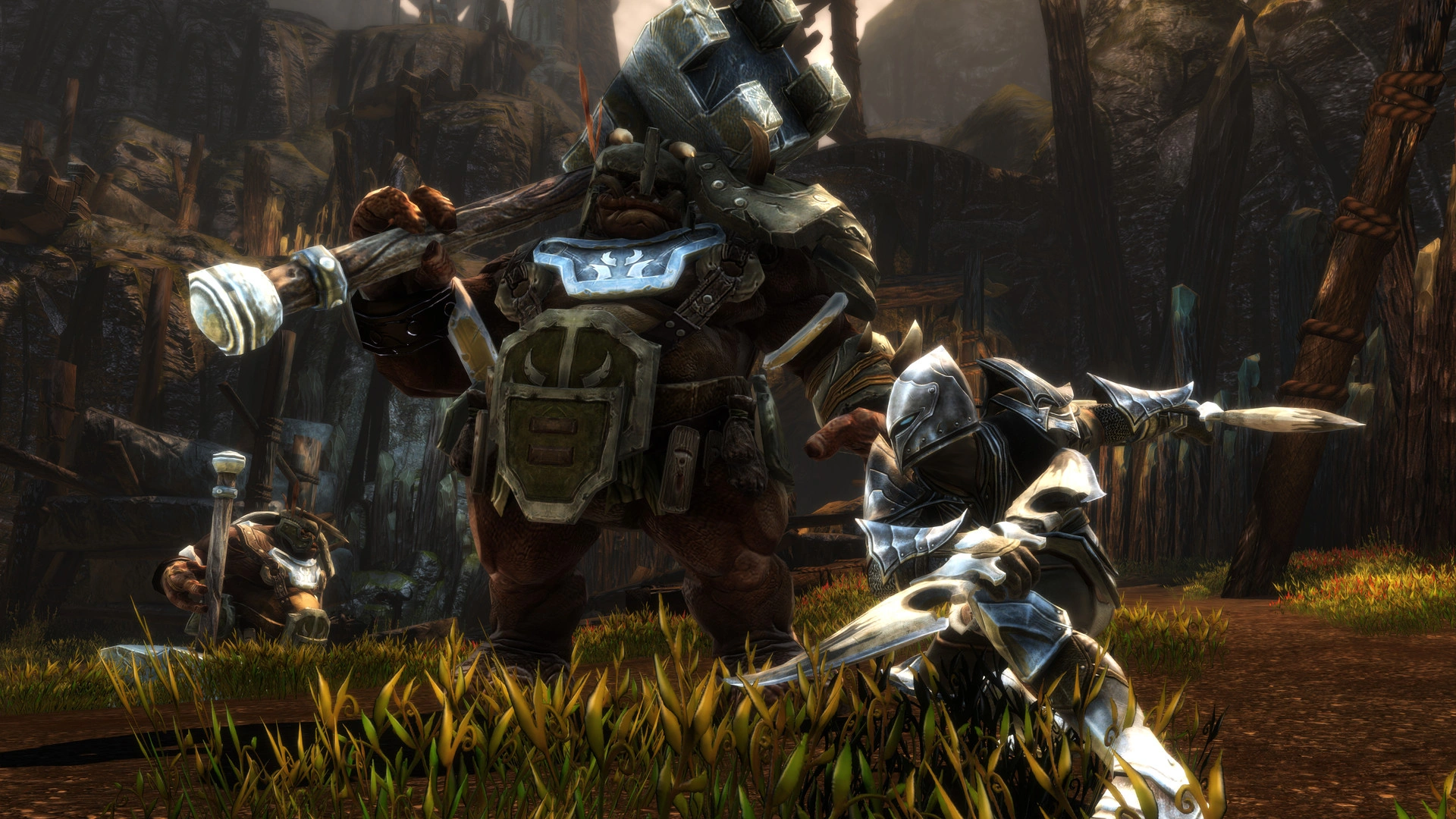 Скриншот-4 из игры Kingdoms of Amalur: Re-Reckoning